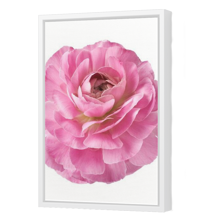 Thumbnail for Canvas - White Floating Frame