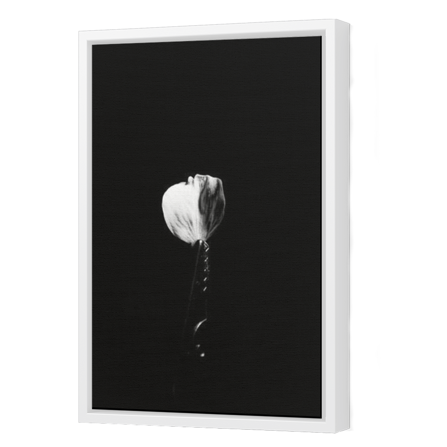 Thumbnail for Canvas - White Floating Frame