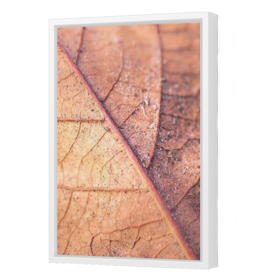 Thumbnail for Canvas - White Floating Frame