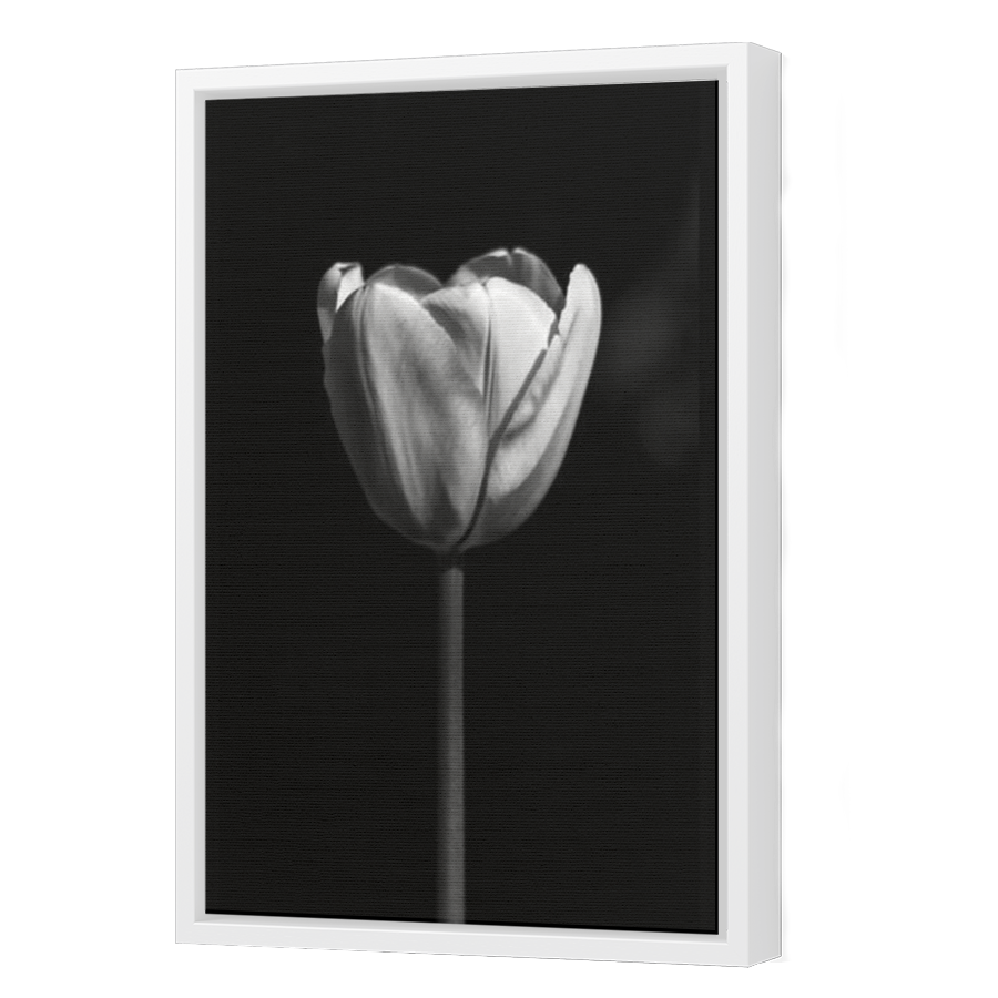 Thumbnail for Canvas - White Floating Frame