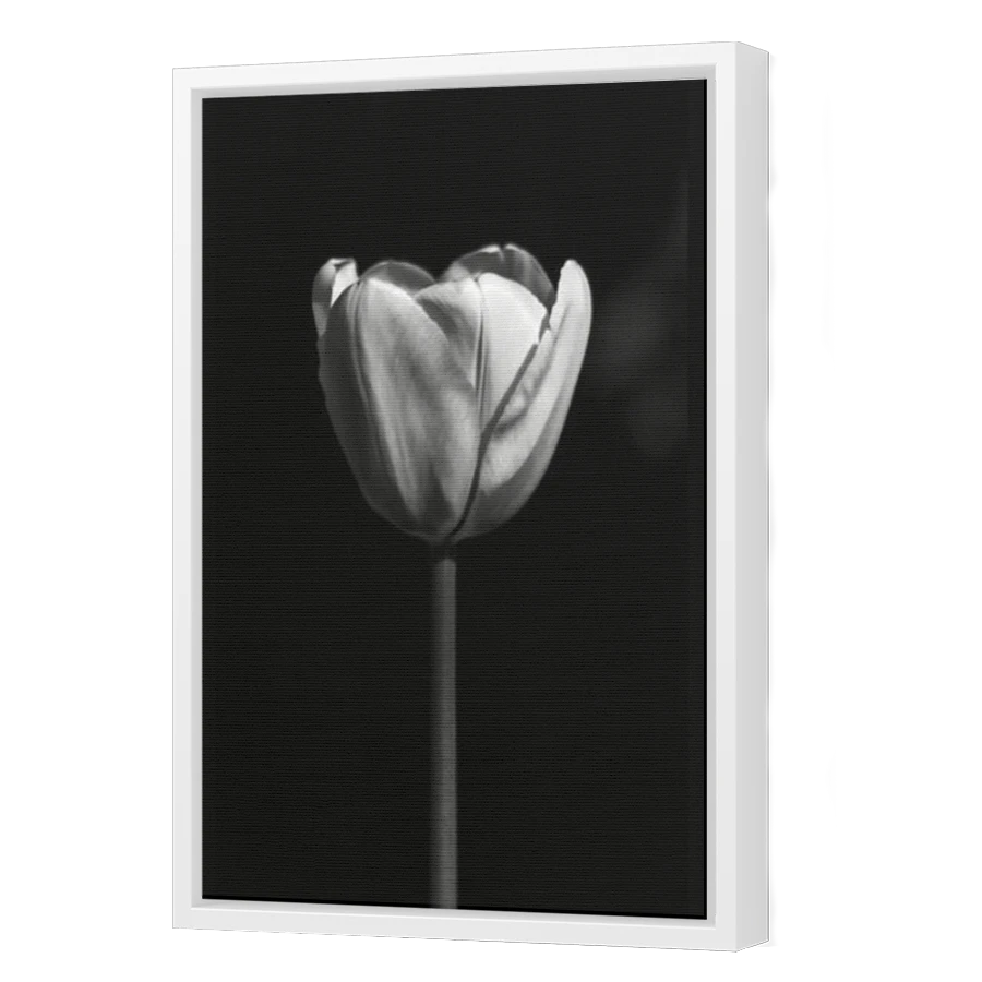 Thumbnail for Canvas - White Floating Frame