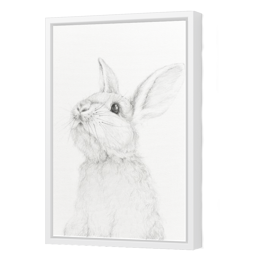 Thumbnail for Canvas - White Floating Frame