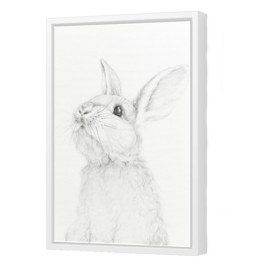 Thumbnail for Canvas - White Floating Frame