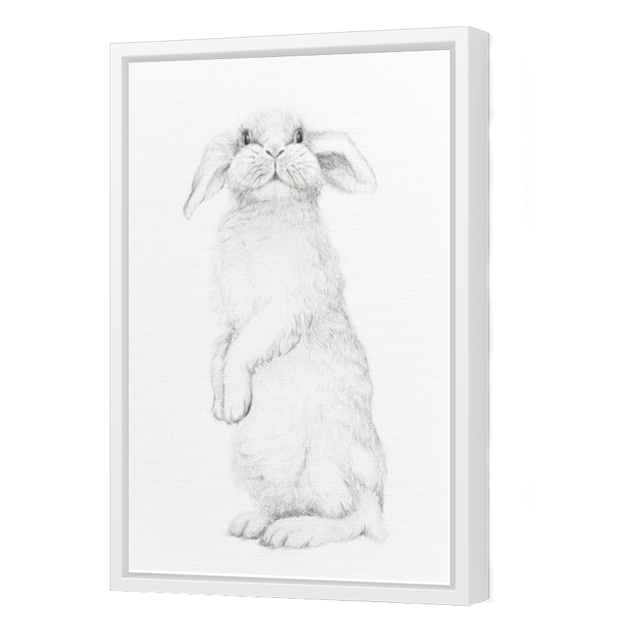 Thumbnail for Canvas - White Floating Frame