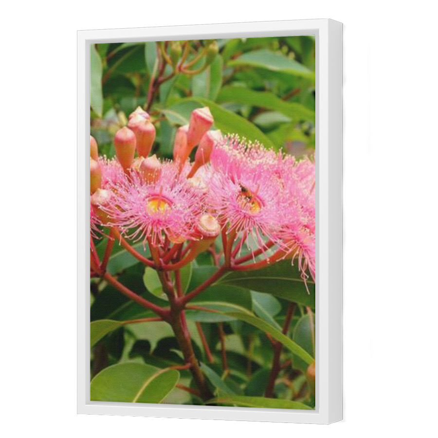 Thumbnail for Canvas - White Floating Frame