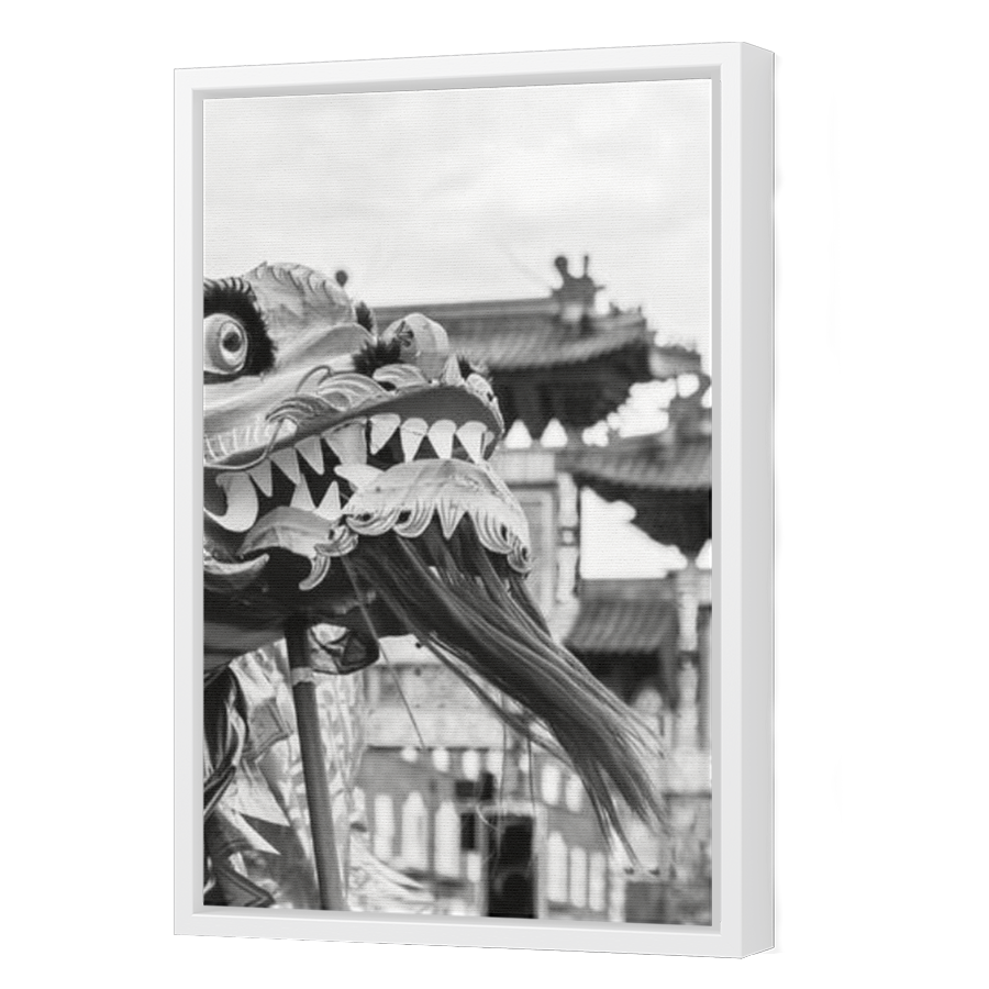 Thumbnail for Canvas - White Floating Frame