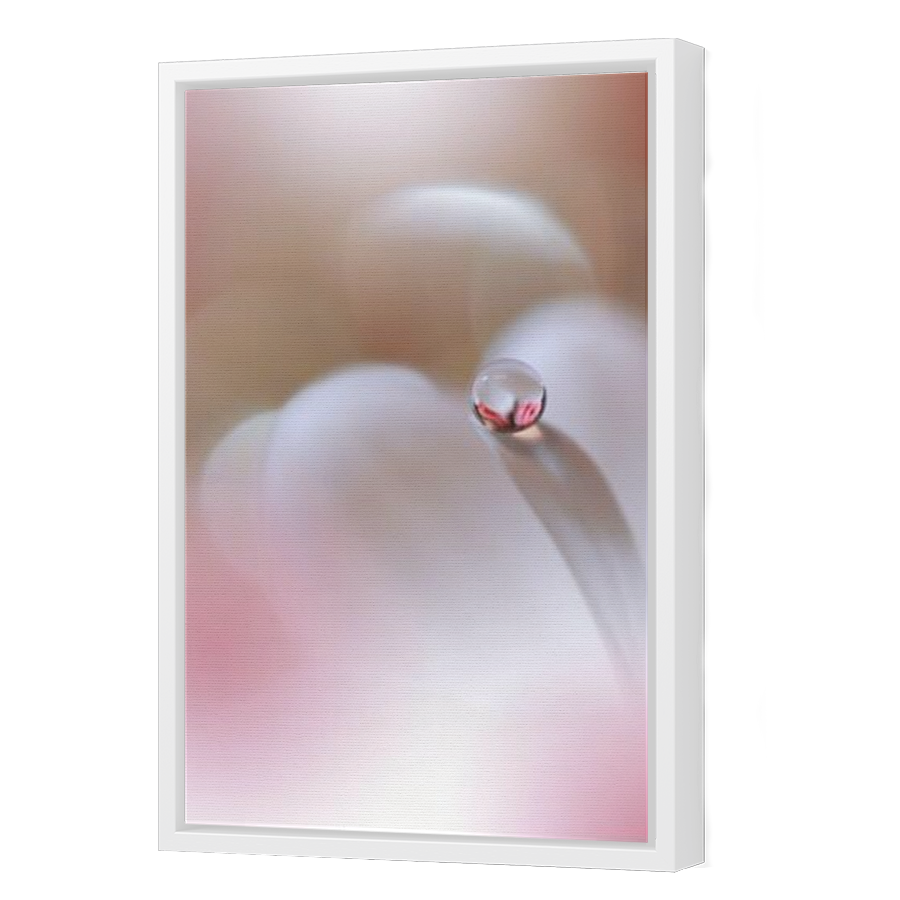 Thumbnail for Canvas - White Floating Frame