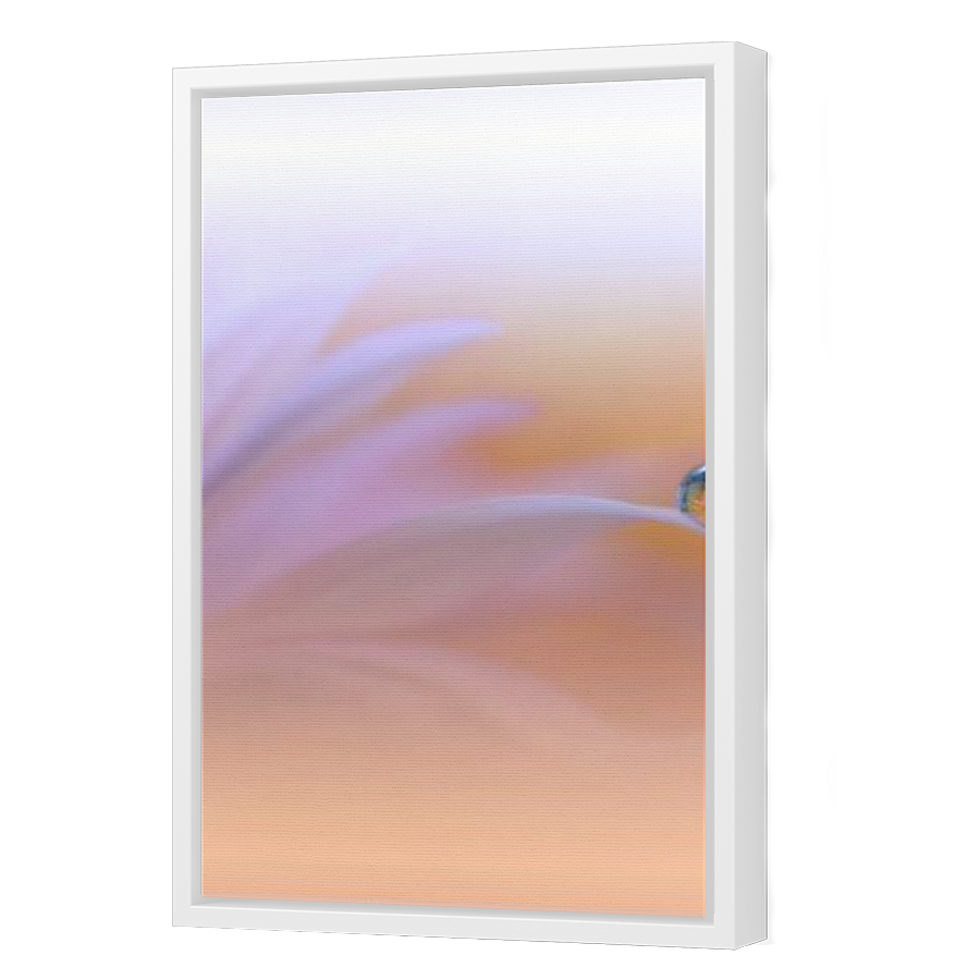 Thumbnail for Canvas - White Floating Frame