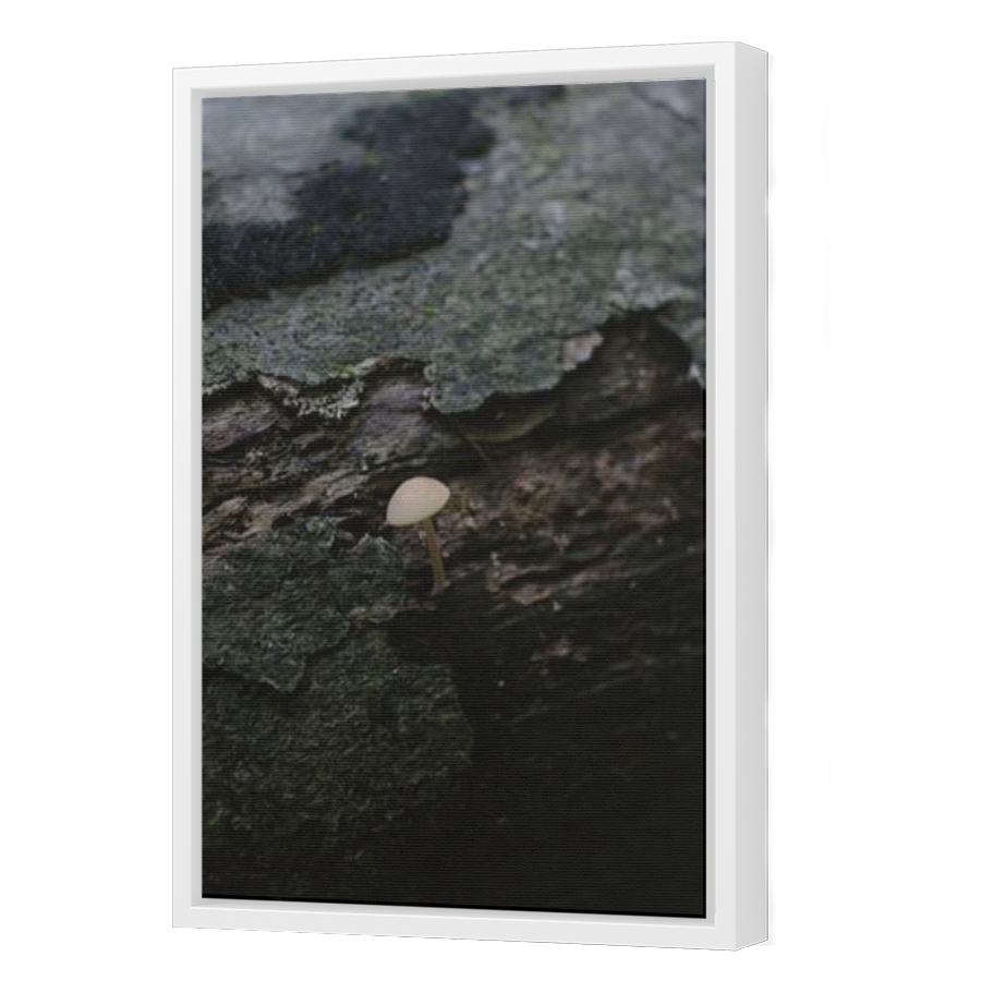 Thumbnail for Canvas - White Floating Frame