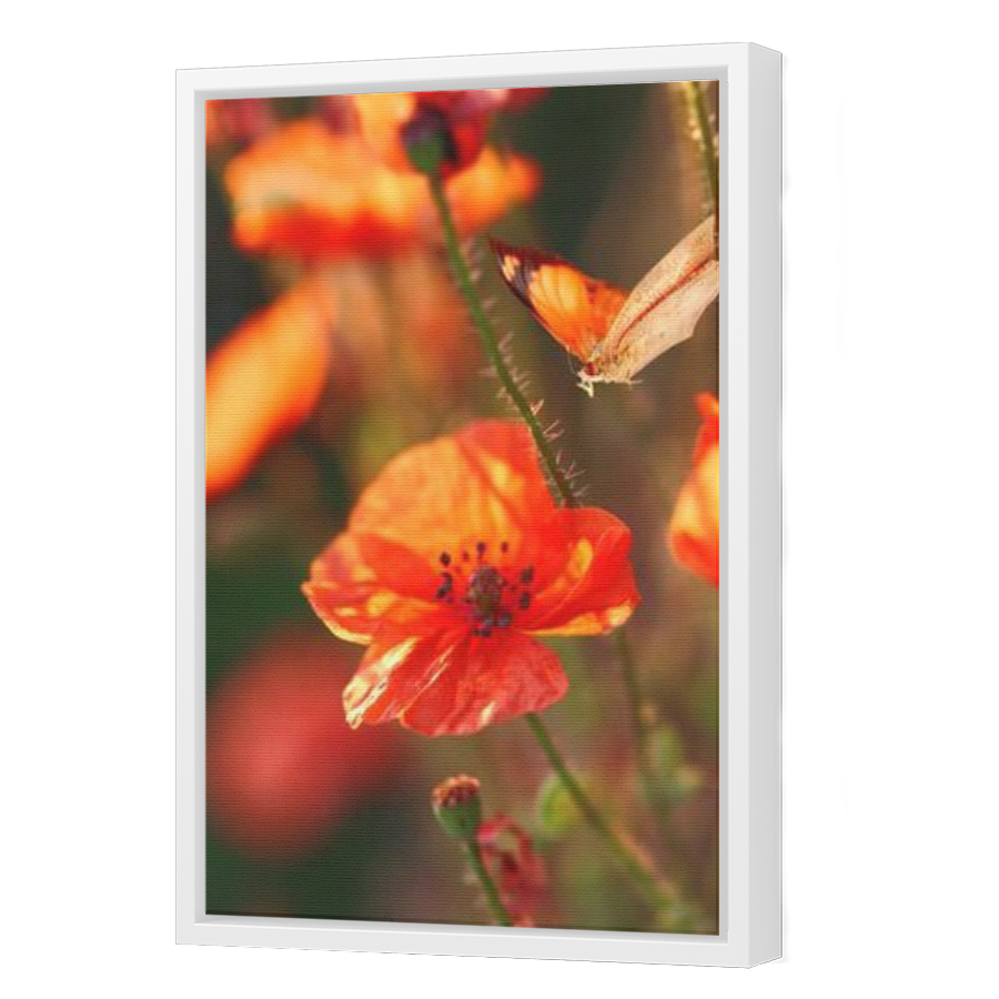 Thumbnail for Canvas - White Floating Frame