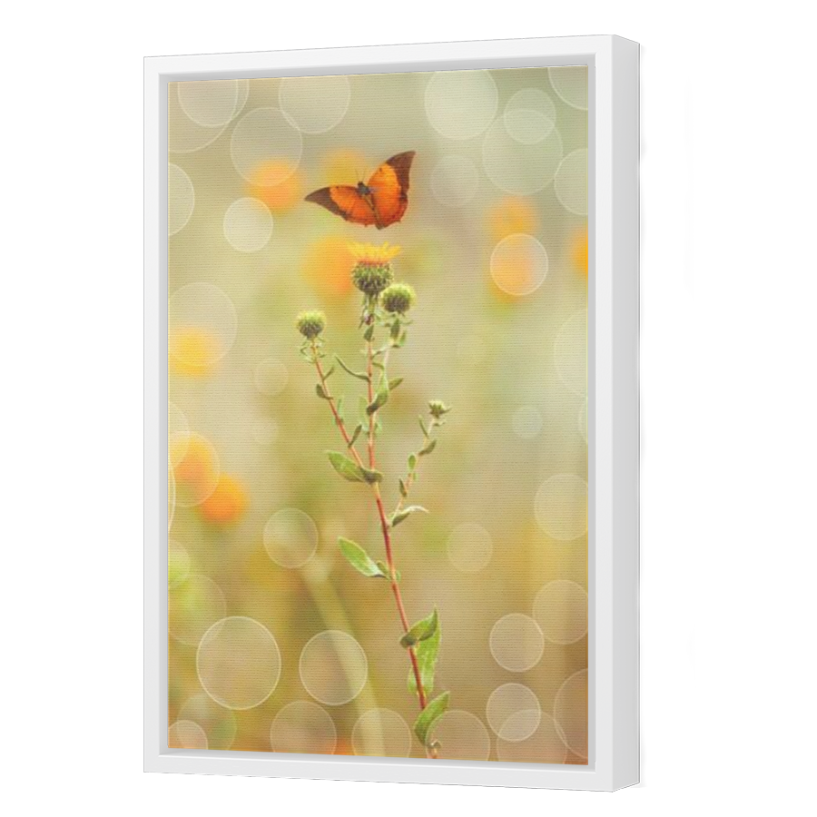 Thumbnail for Canvas - White Floating Frame