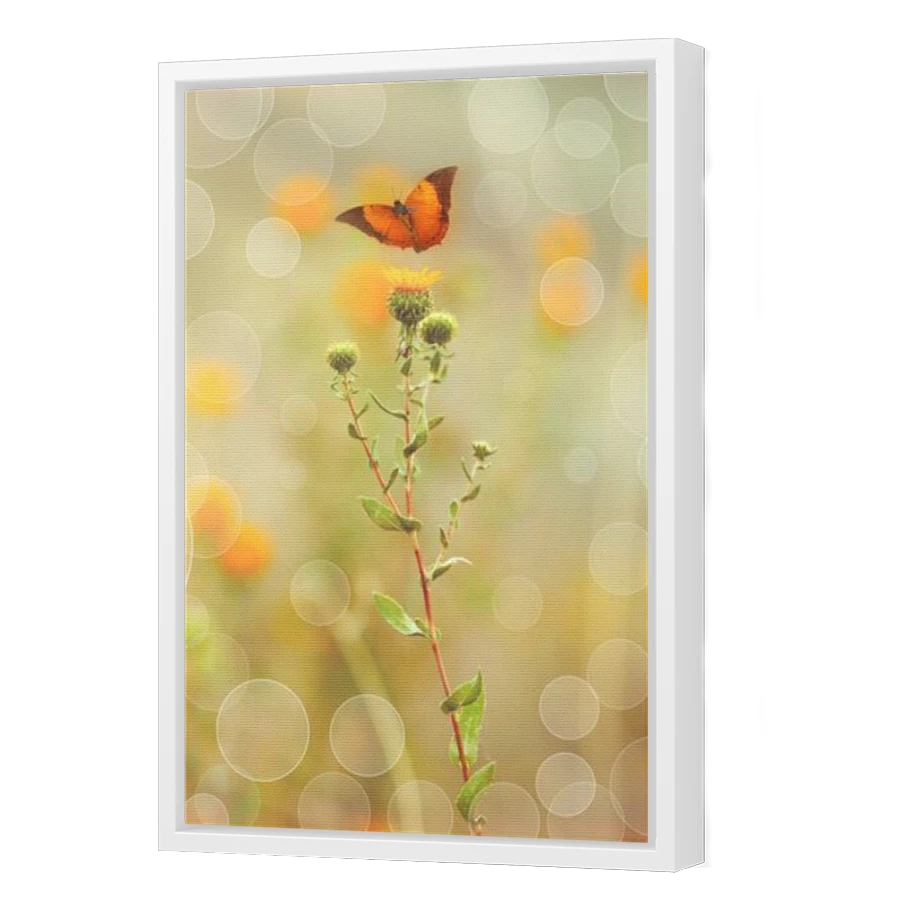Thumbnail for Canvas - White Floating Frame