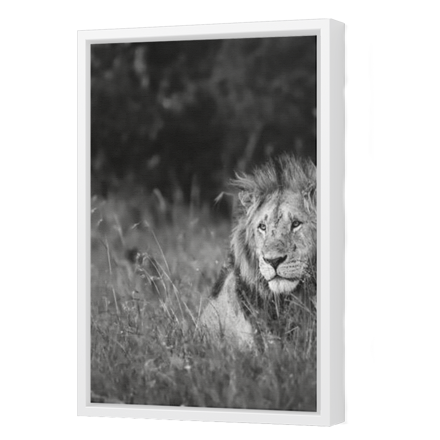 Thumbnail for Canvas - White Floating Frame