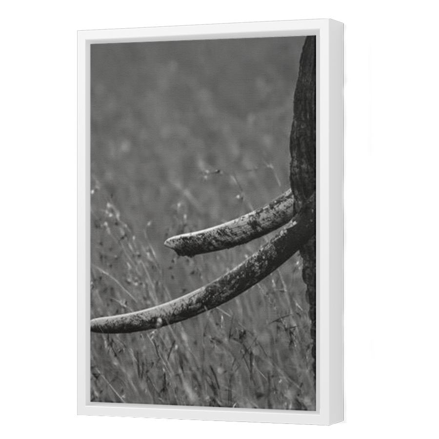 Thumbnail for Canvas - White Floating Frame