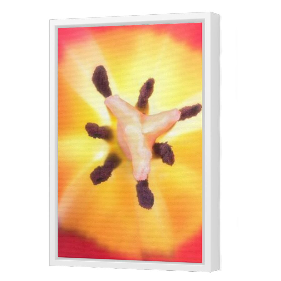 Thumbnail for Canvas - White Floating Frame