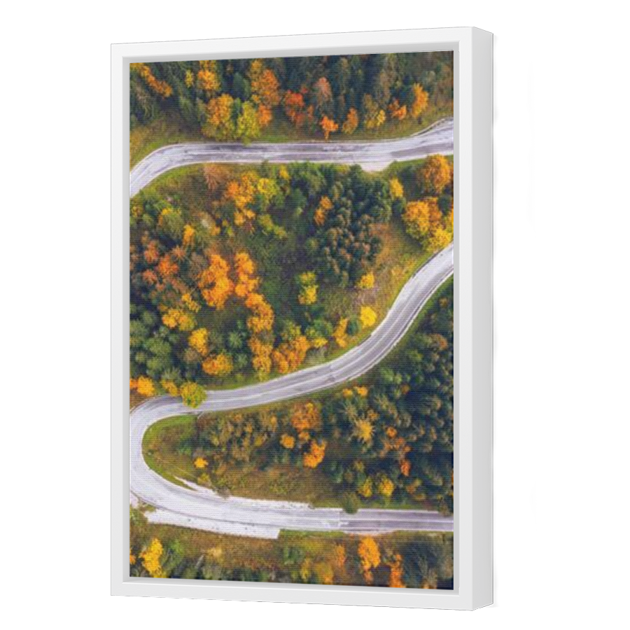 Thumbnail for Canvas - White Floating Frame
