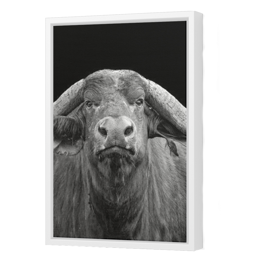 Thumbnail for Canvas - White Floating Frame