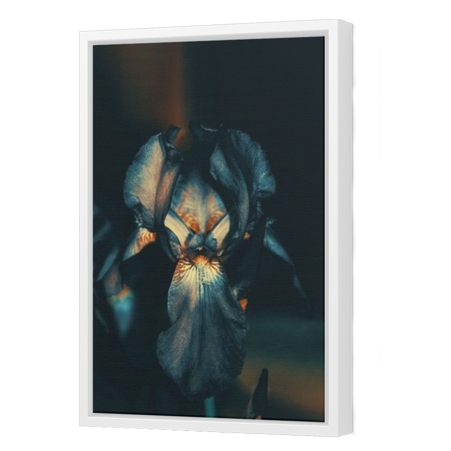 Thumbnail for Canvas - White Floating Frame