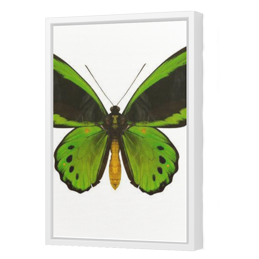 Thumbnail for Canvas - White Floating Frame