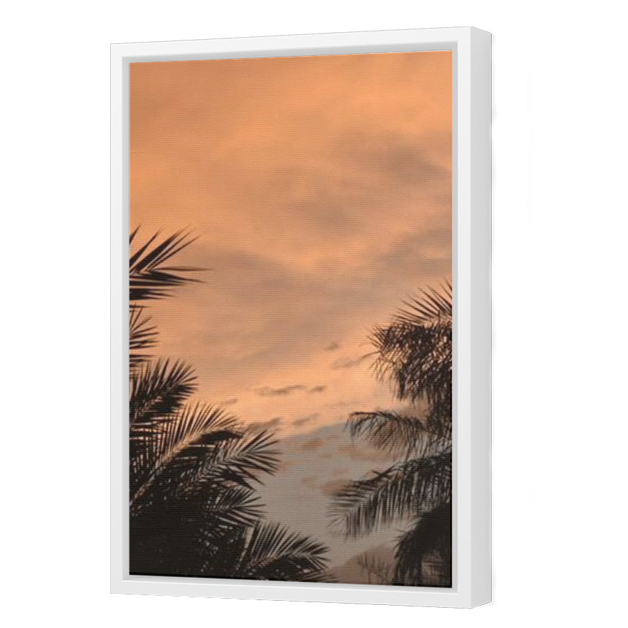 Thumbnail for Canvas - White Floating Frame