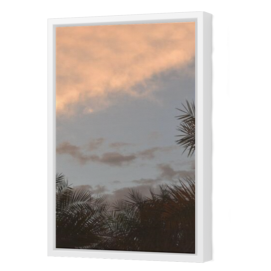 Thumbnail for Canvas - White Floating Frame