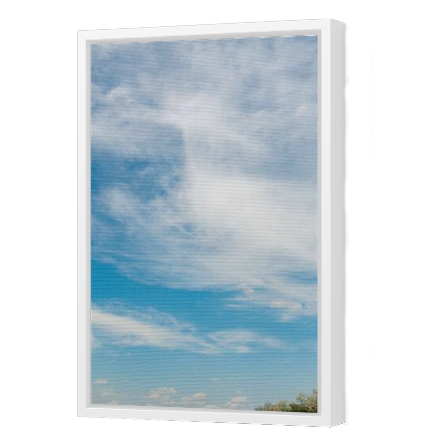 Thumbnail for Canvas - White Floating Frame