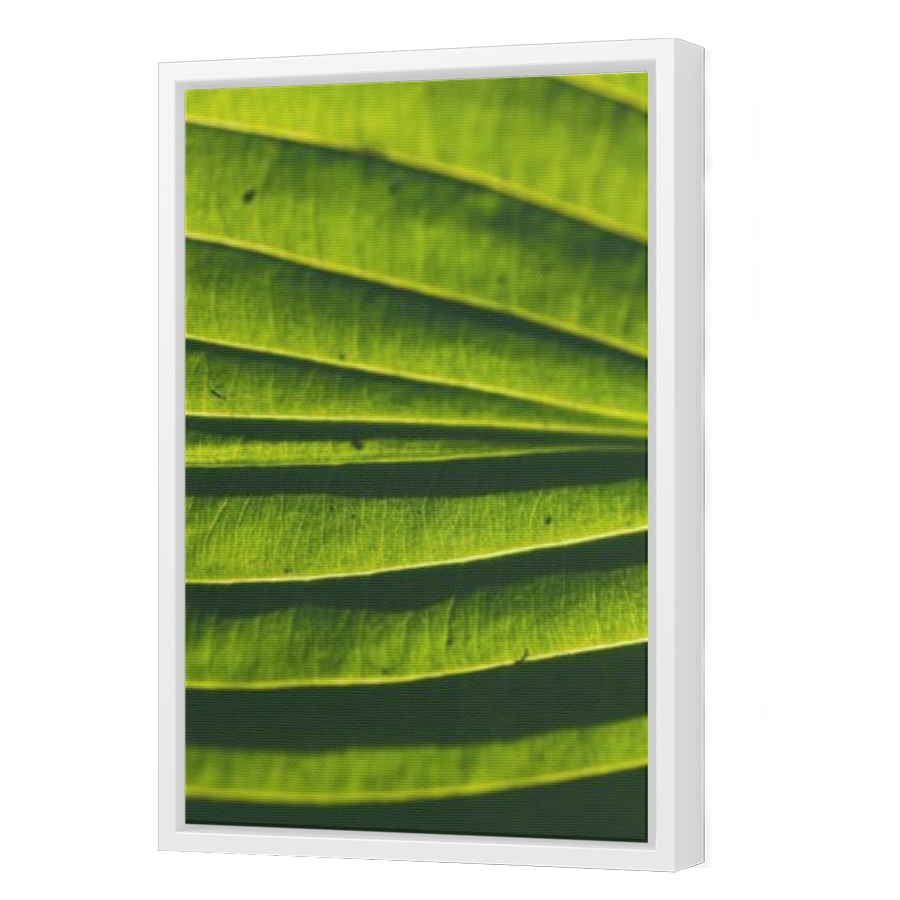 Thumbnail for Canvas - White Floating Frame