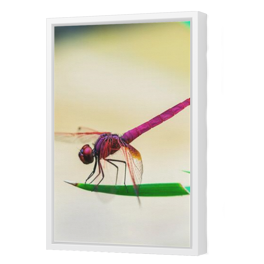 Thumbnail for Canvas - White Floating Frame