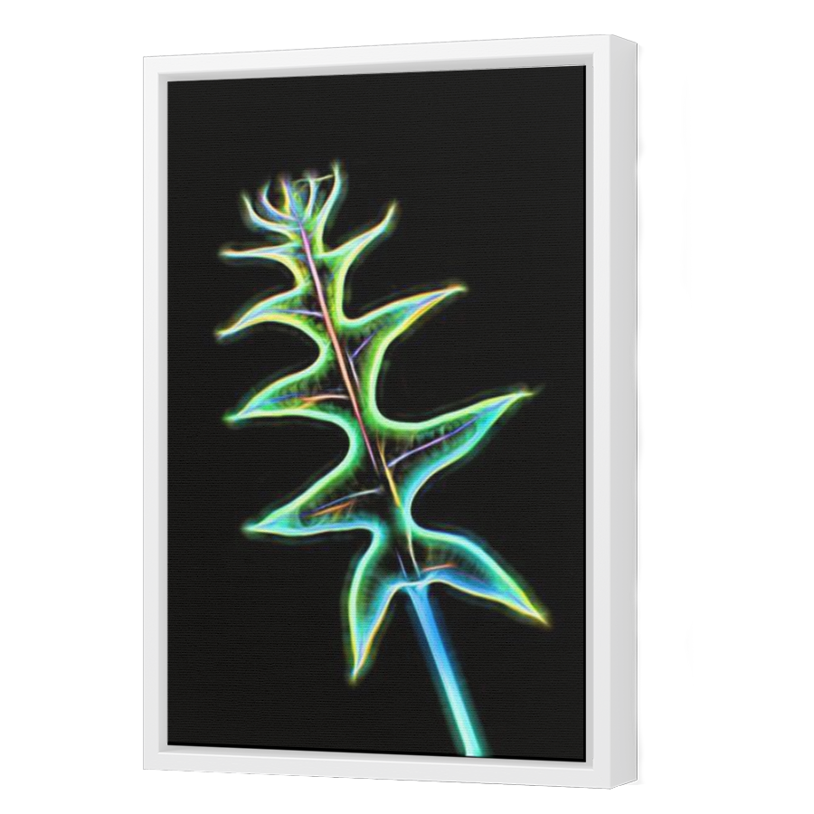 Thumbnail for Canvas - White Floating Frame