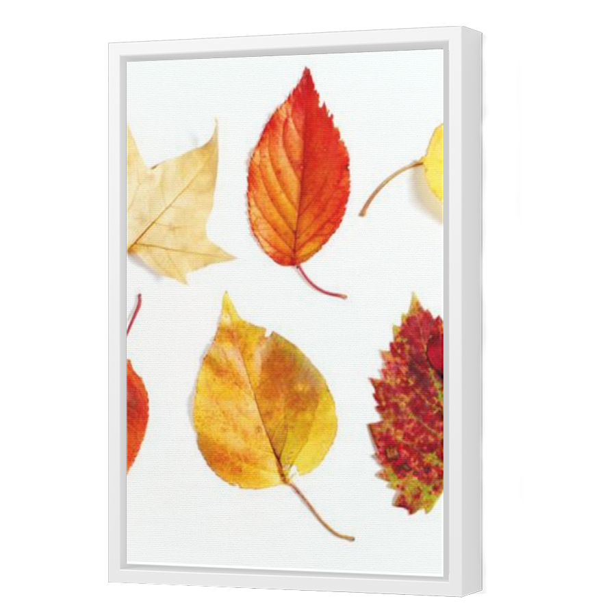 Thumbnail for Canvas - White Floating Frame