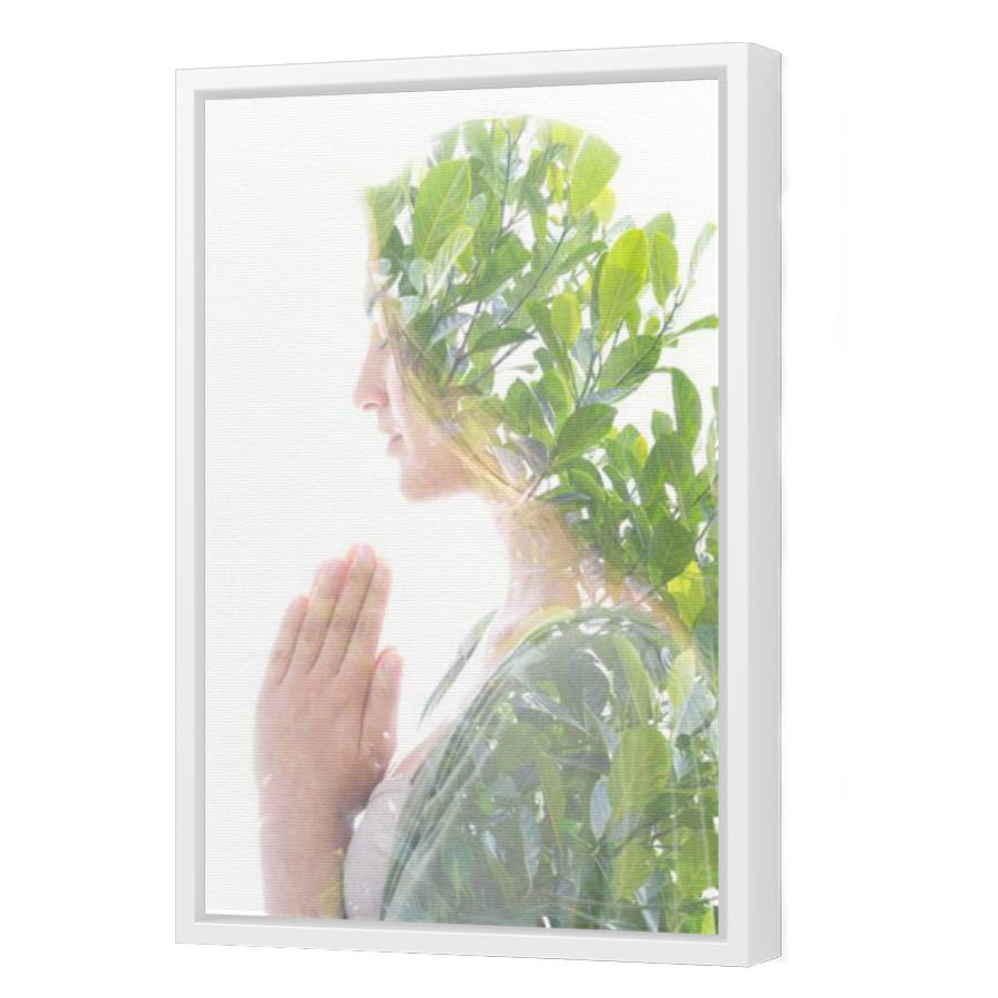 Thumbnail for Canvas - White Floating Frame