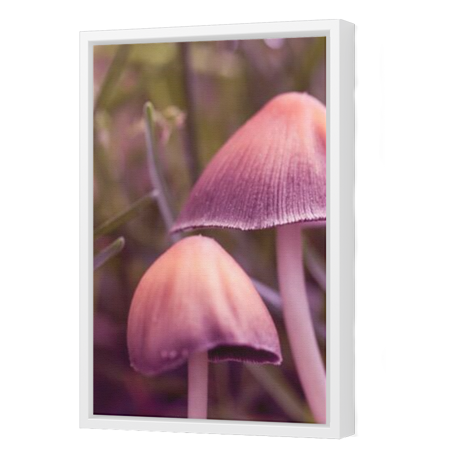 Thumbnail for Canvas - White Floating Frame