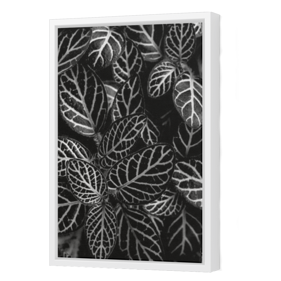 Thumbnail for Canvas - White Floating Frame