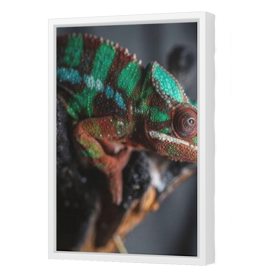 Thumbnail for Canvas - White Floating Frame