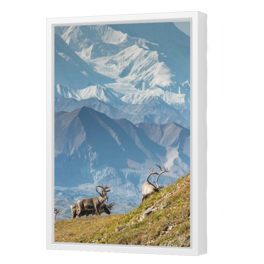 Thumbnail for Canvas - White Floating Frame