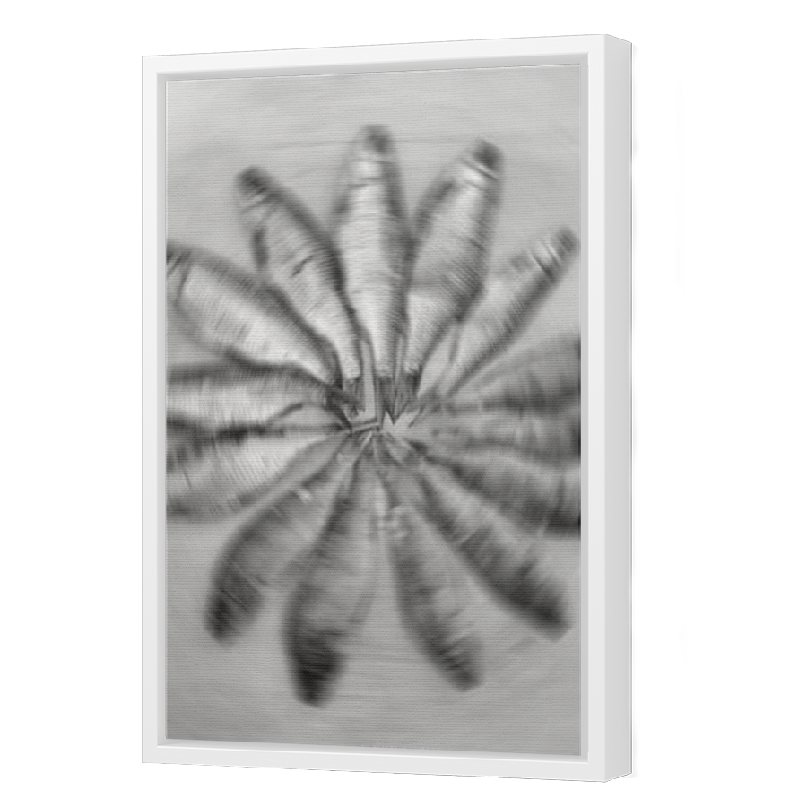 Thumbnail for Canvas - White Floating Frame
