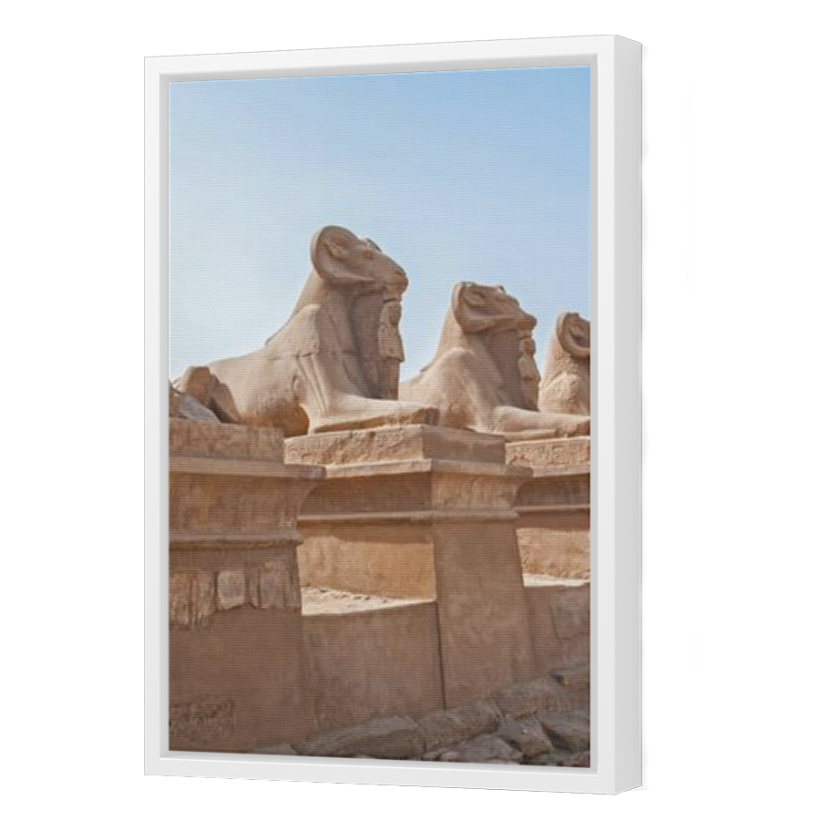 Thumbnail for Canvas - White Floating Frame