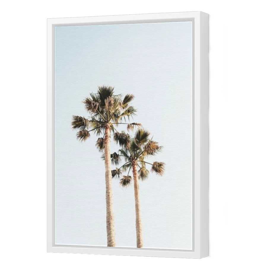 Thumbnail for Canvas - White Floating Frame