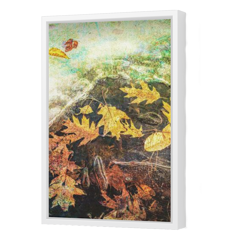 Thumbnail for Canvas - White Floating Frame