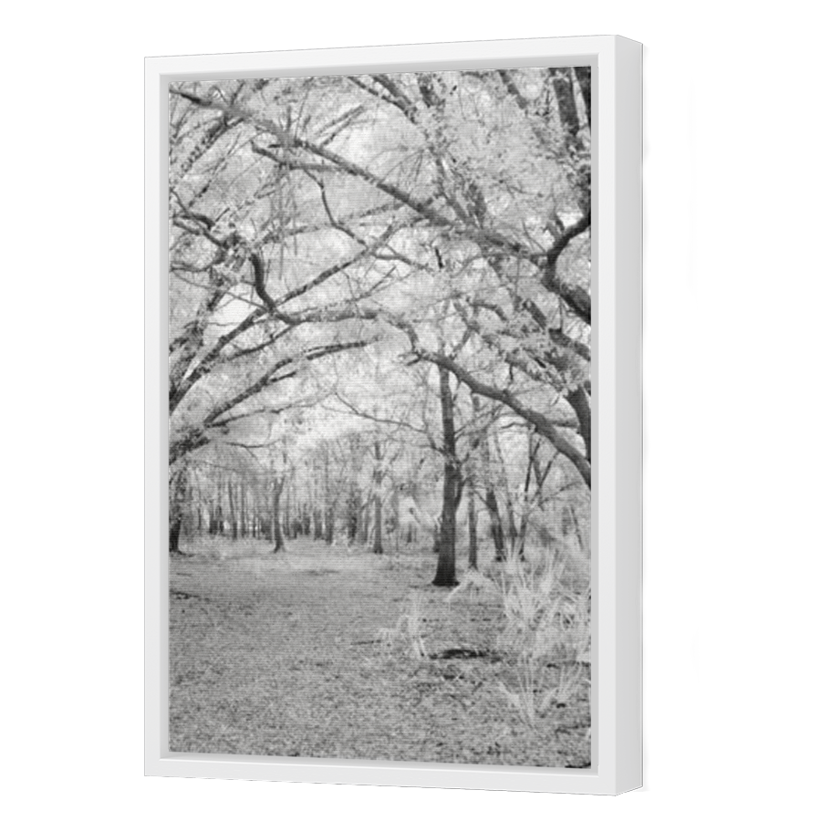 Thumbnail for Canvas - White Floating Frame