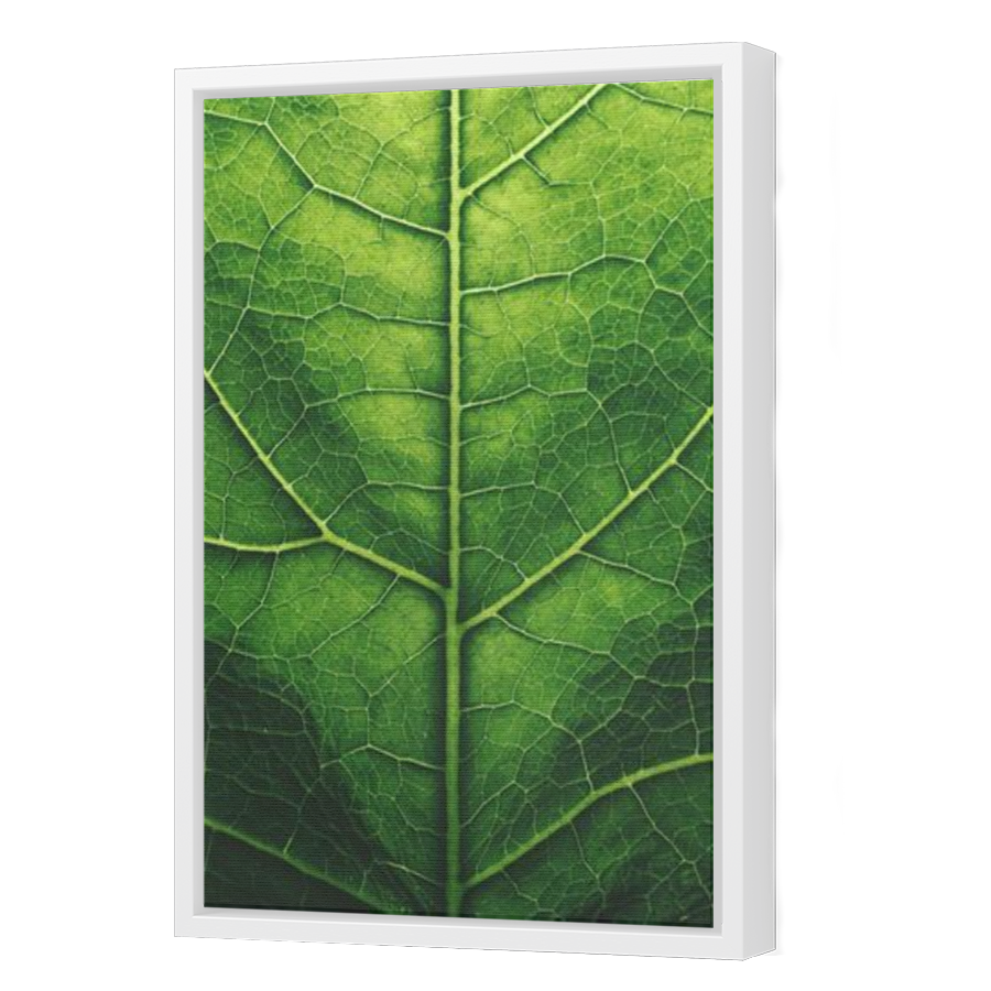 Thumbnail for Canvas - White Floating Frame