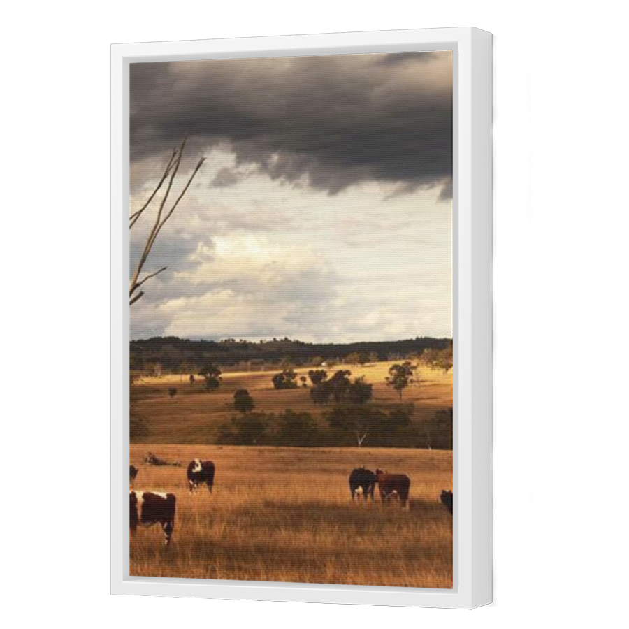 Thumbnail for Canvas - White Floating Frame