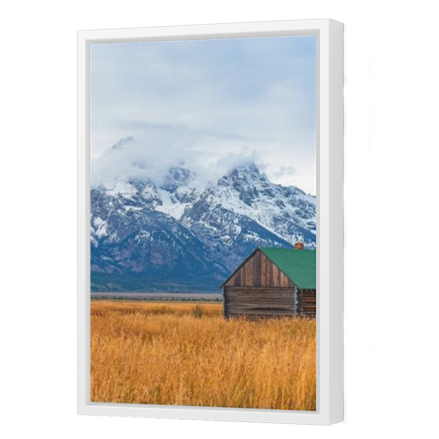 Thumbnail for Canvas - White Floating Frame