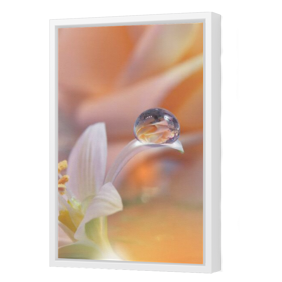 Thumbnail for Canvas - White Floating Frame