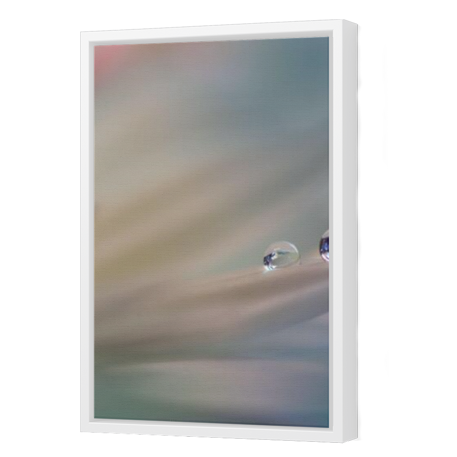 Thumbnail for Canvas - White Floating Frame