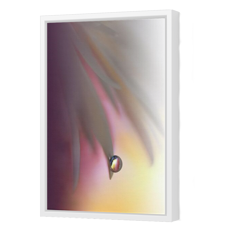 Thumbnail for Canvas - White Floating Frame