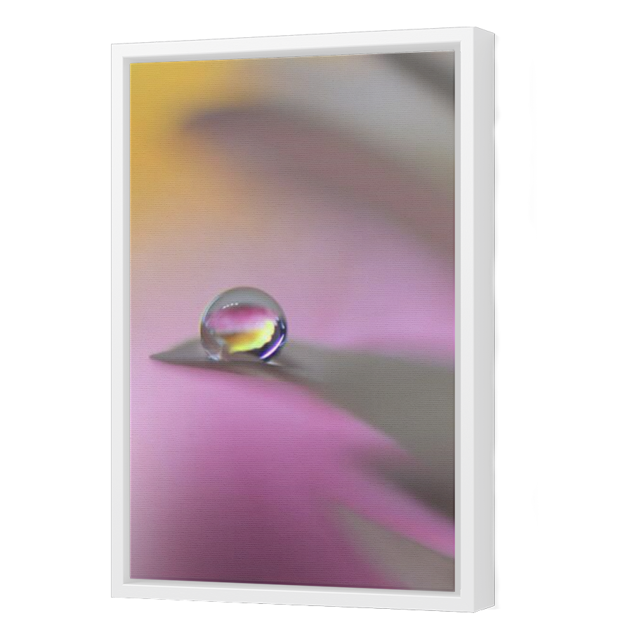 Thumbnail for Canvas - White Floating Frame