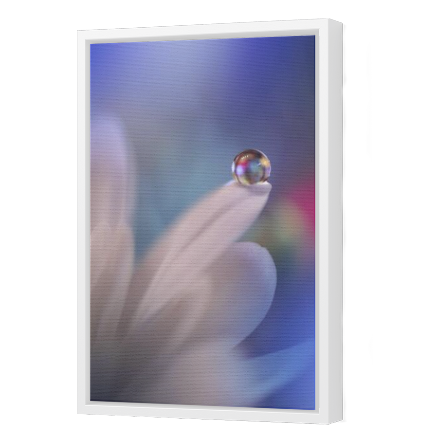 Thumbnail for Canvas - White Floating Frame