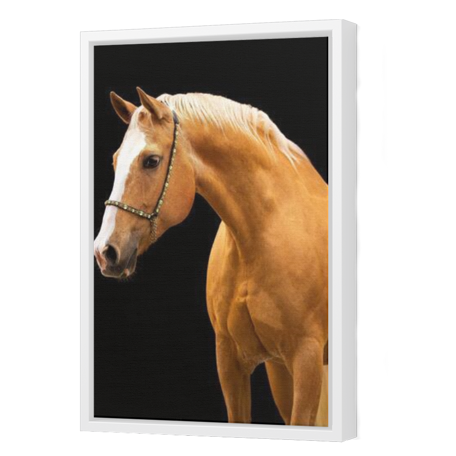 Thumbnail for Canvas - White Floating Frame