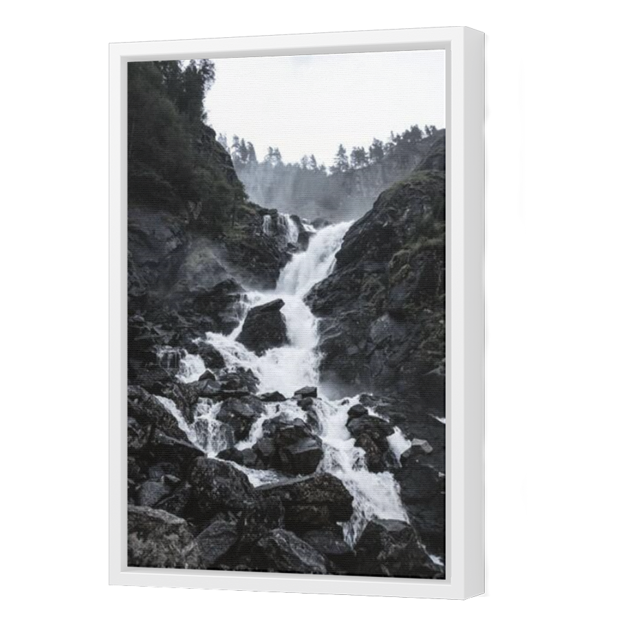 Thumbnail for Canvas - White Floating Frame
